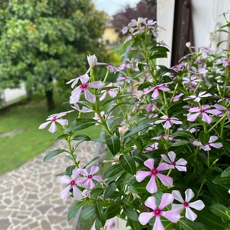 Hébergement de vacances Residenza 38 *